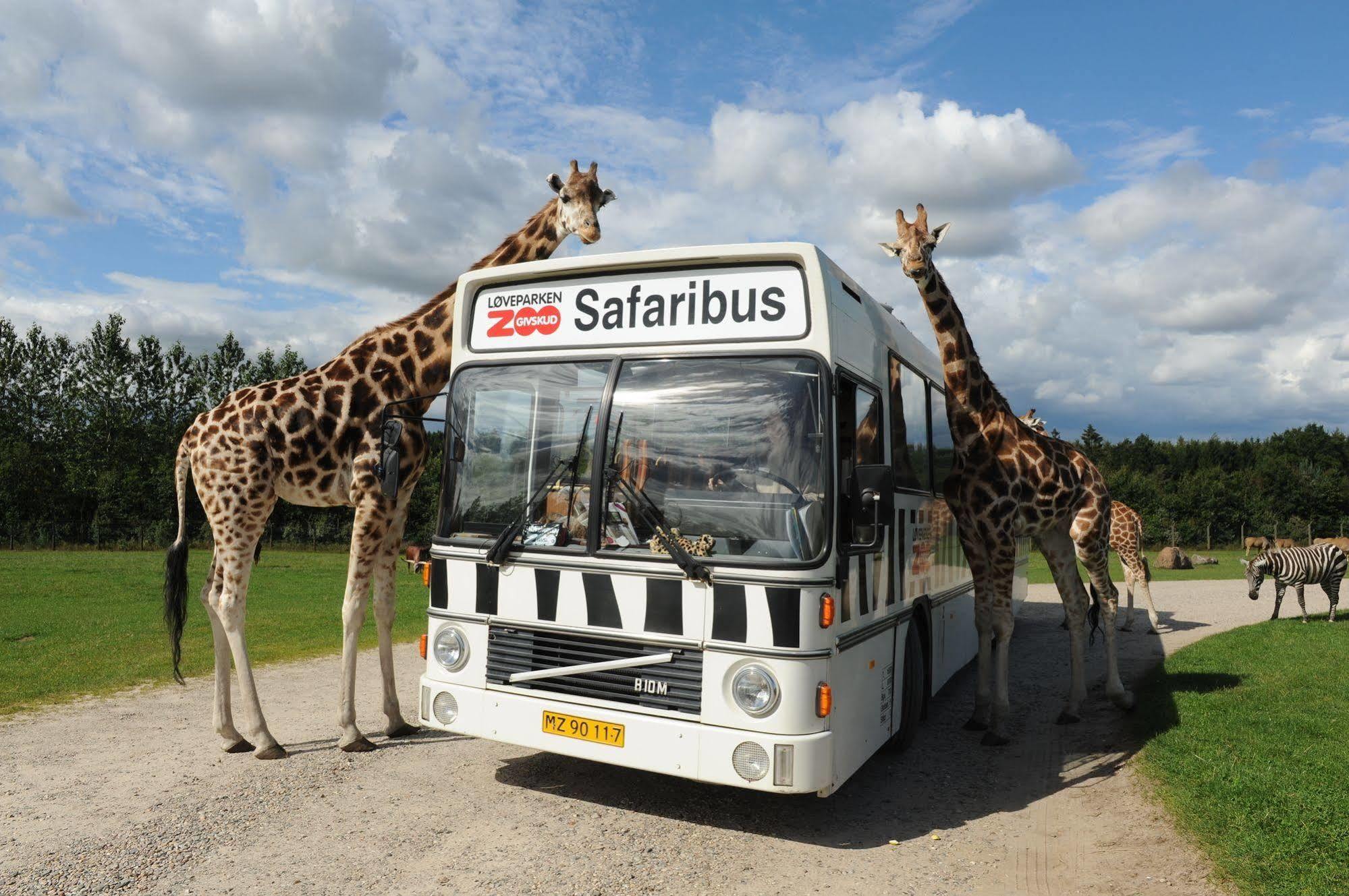 Givskud Zoo Hostel Ngoại thất bức ảnh