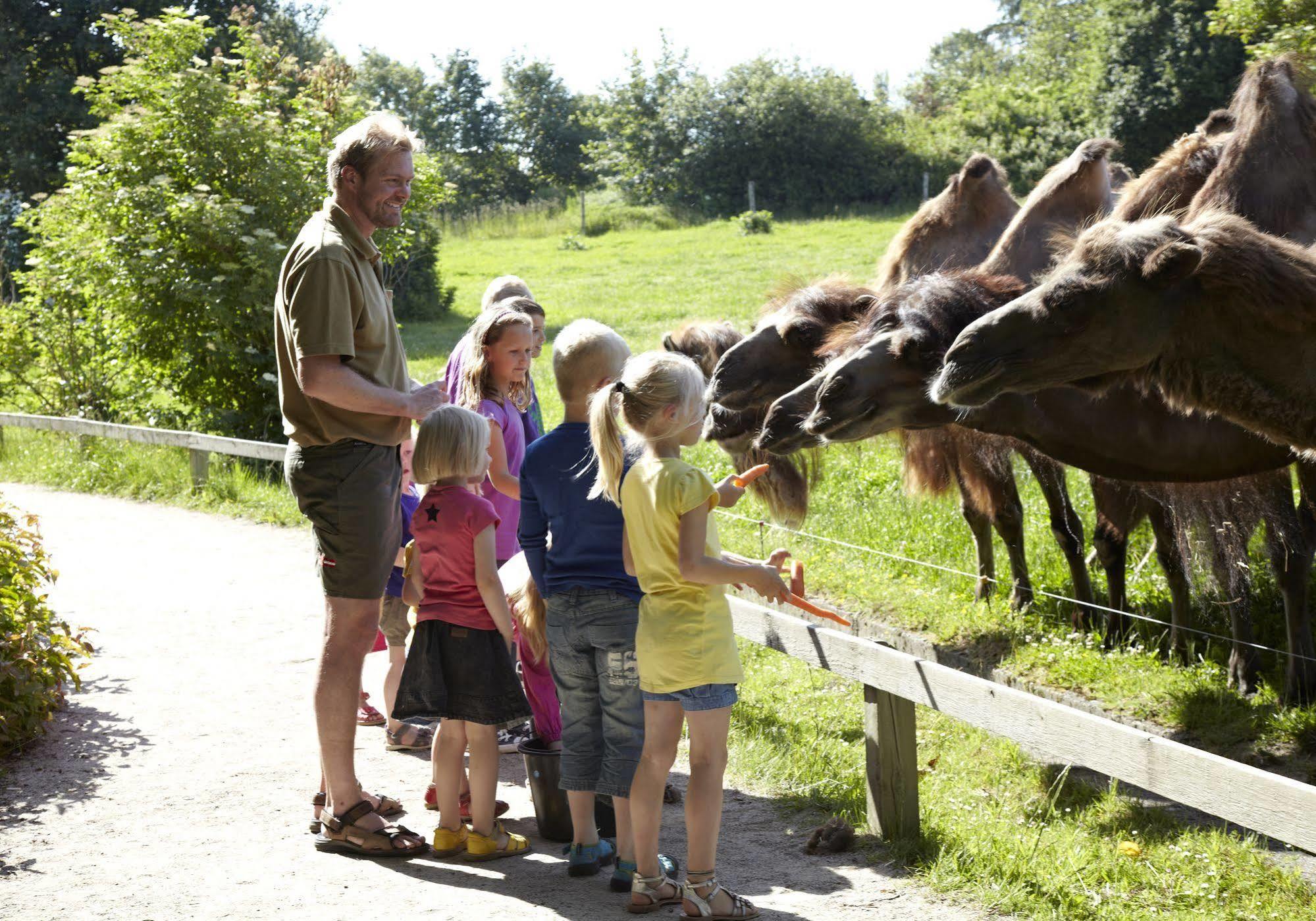 Givskud Zoo Hostel Ngoại thất bức ảnh